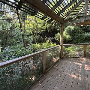 White-naped Crane Exhibit