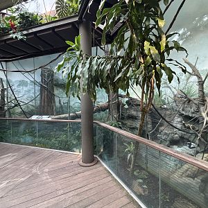 Black and White Ruffed Lemur Exhibit