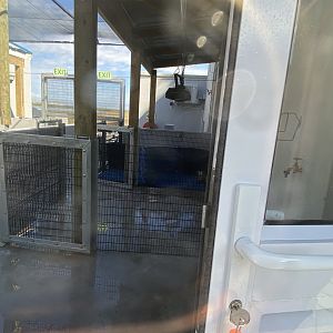 Pen for young African penguins