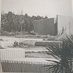 African lion exhibit