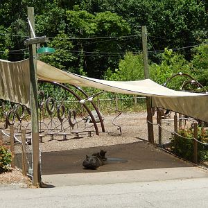 7/16/2025 - Donna's Playground