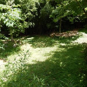 7/16/2025 - Rhino Reserve