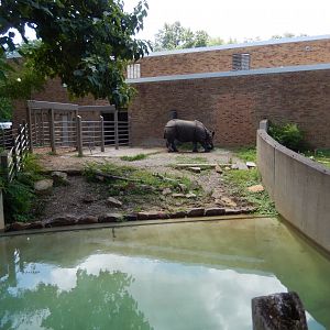 7/16/2025 - Indian Rhino Habitat (Older Half)
