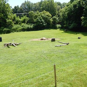 7/16/2025 - Bactrian Camel Paddock