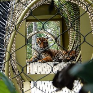 7/16/2025 - Tunnel Vision