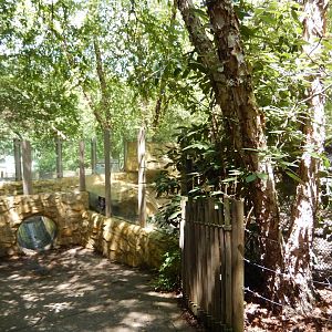 7/16/2025 - River Otter Habitat