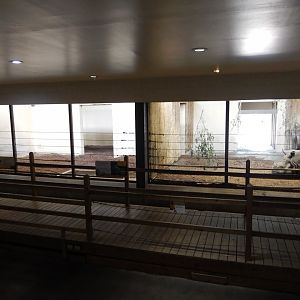 7/16/2025 - Indian Rhino Stalls (2 of 3)