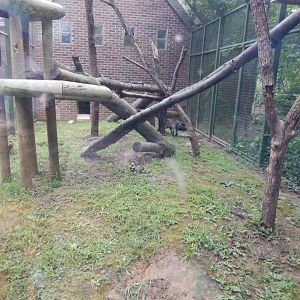 7/16/2025 - Ocelot Cage