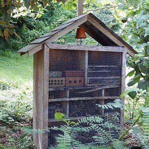 7/16/2025 - Insect Hotel