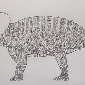 Triceratops Prosus