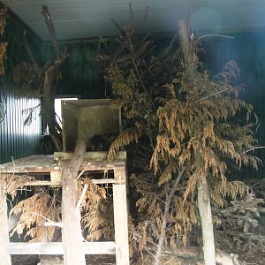 Asian brush-tailed porcupine indoor exhibit, 2025-08-17