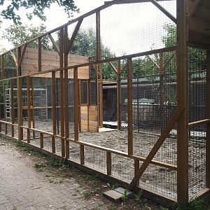 New exhibits under construction at the former site of the crested porcupine exhibit, 2025-08-17