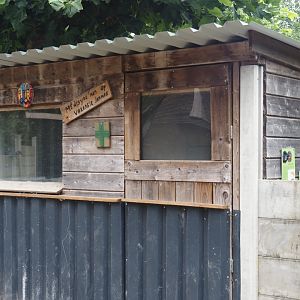 Yellow mongoose barn, 2025-08-17