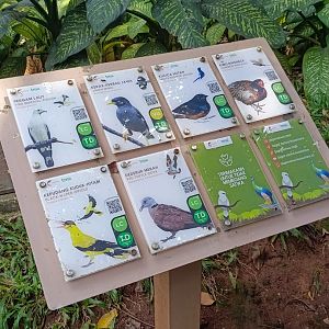 Greater Sunda Aviary free-roaming birds signage example