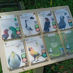 Wallacea-Sahul freeroaming bird signage example