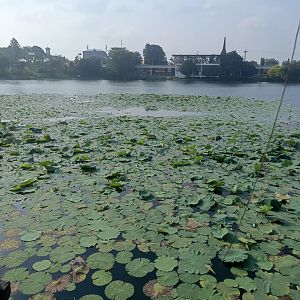 The lake outside Dunia Air Tawar's building