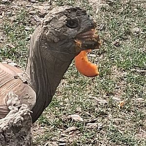 You have a little something there