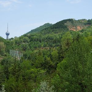 Qinghai-Tibet Plateau Wildlife Zoo surrounding area