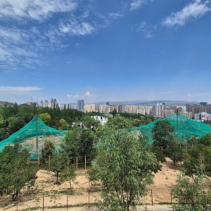 Walkthrough aviary,  view from the carnivore observing platform