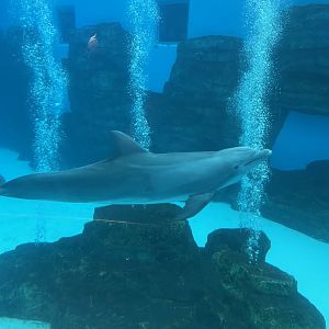 8/16/2025 - Streamin’ Through Bubbles