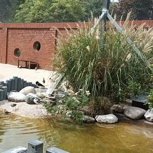 Inside of the coastal panorama sea bird Aviary