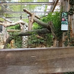 part of Fossa enclosure