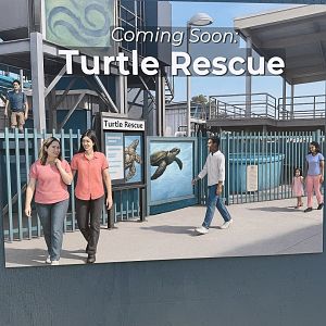 Sea Turtle Rescue Concept Art