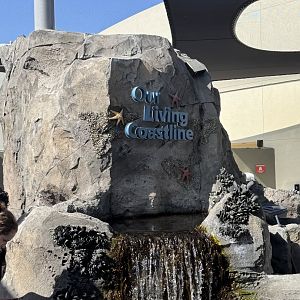 Our Living Coastline