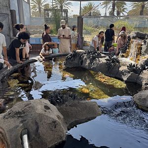 Invertebrate Touch Pool