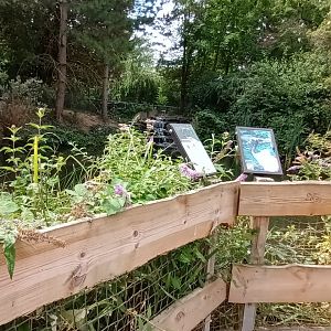 part of Red crowned Crane enclosure/Geysir lake viewing area