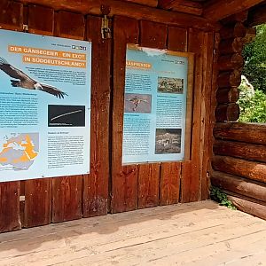 Signage example Griffon Vulture
