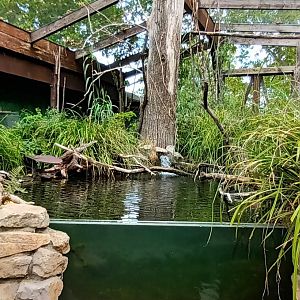 Inside of the Amazon Aviary
