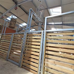 Interior building of the Rothschild Giraffes