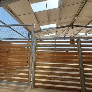 Interior building of the Rothschild Giraffes