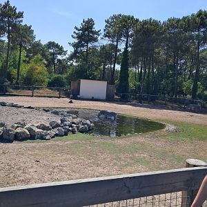 Habitat of giraffes, zebras and oryx