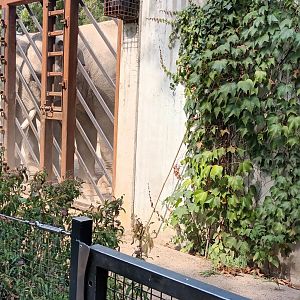 Elephant training wall