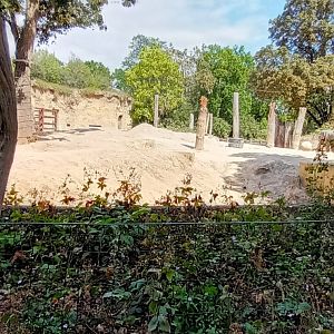 Asian Elephant Enclosure