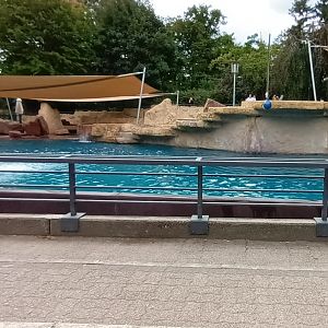 South american sea Lion Enclosure