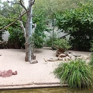 Inside of the European Aviary