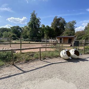 Ostrich enclosure