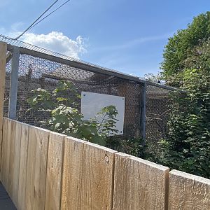 African parrot aviary