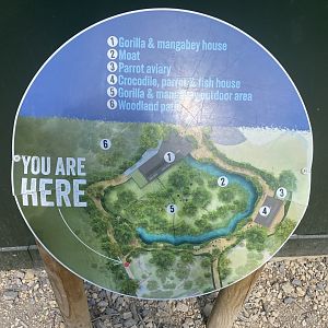 Map of Central African Forest