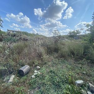Indoor viewing area for outdoor gelada enclosure