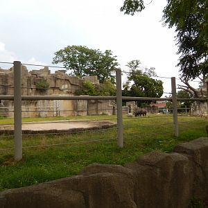 8/16/2025 - Black Rhino Habitat
