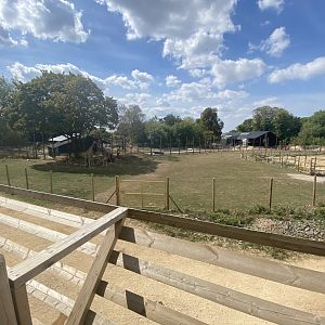 A view of mixed savanna and a bit of the C.AF area