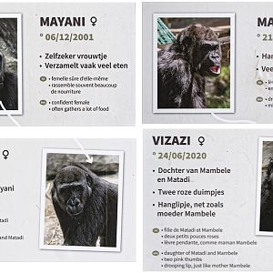 Labels beside gorilla enclosure (2)