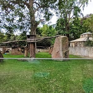 part of Tufted Deer and Red Panda Enclosure