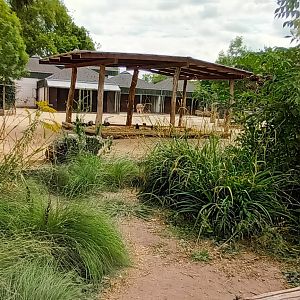 part of African Savannah