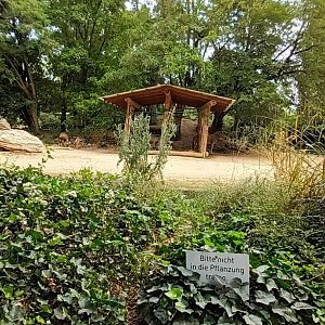 part of African Savannah