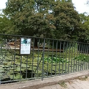 part of African Savannah